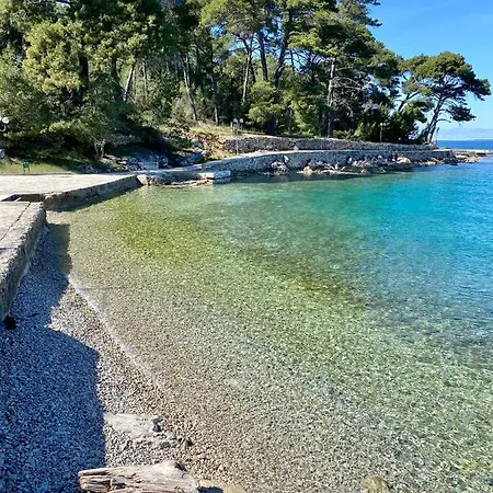 Runcika Luxury Apartment *