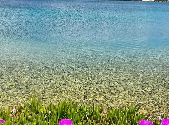 Runcika Luxury アパート *