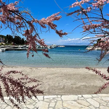 Runcika Luxury Apartman *